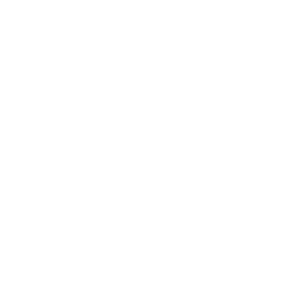 Sana Bsh